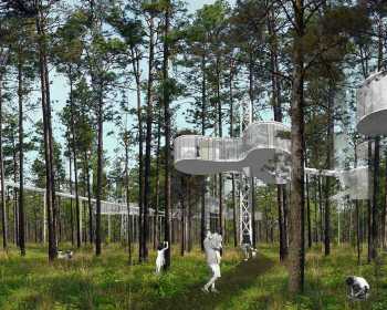 OPEN Architecture Treehouse